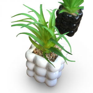 قوار ورد صبار16 سم بورسلان بابلز مربع ابيض M21-7 قوار ورد صبار16 سم بورسلان بابلز مربع ابيض M21-7